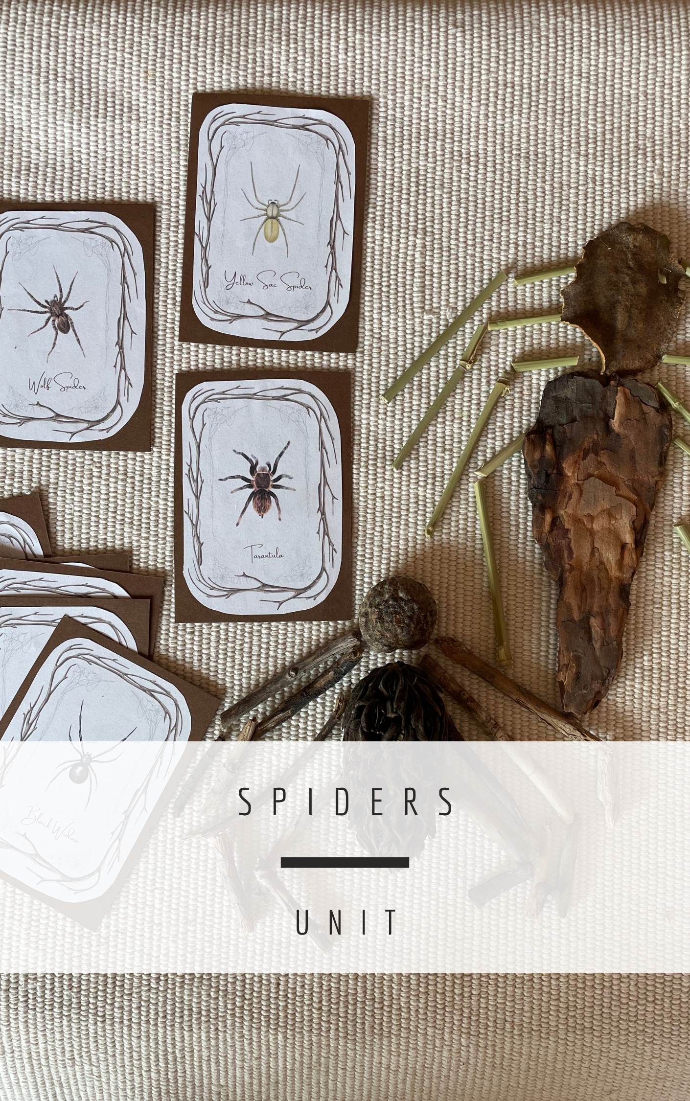 Spider Unit