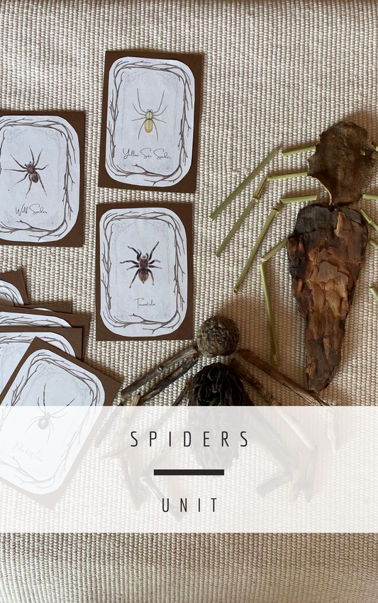 Spider Unit